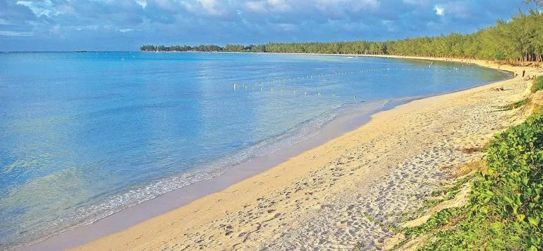 Beach & Waterfront