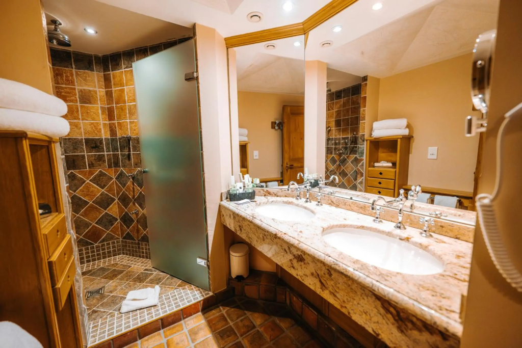 Hôtel & SPA Les Violettes - Général