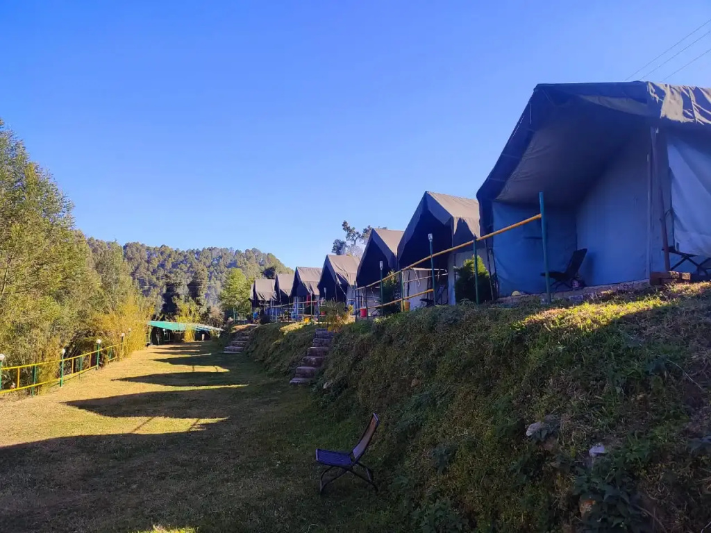 Wild Roots Camps And Resorts