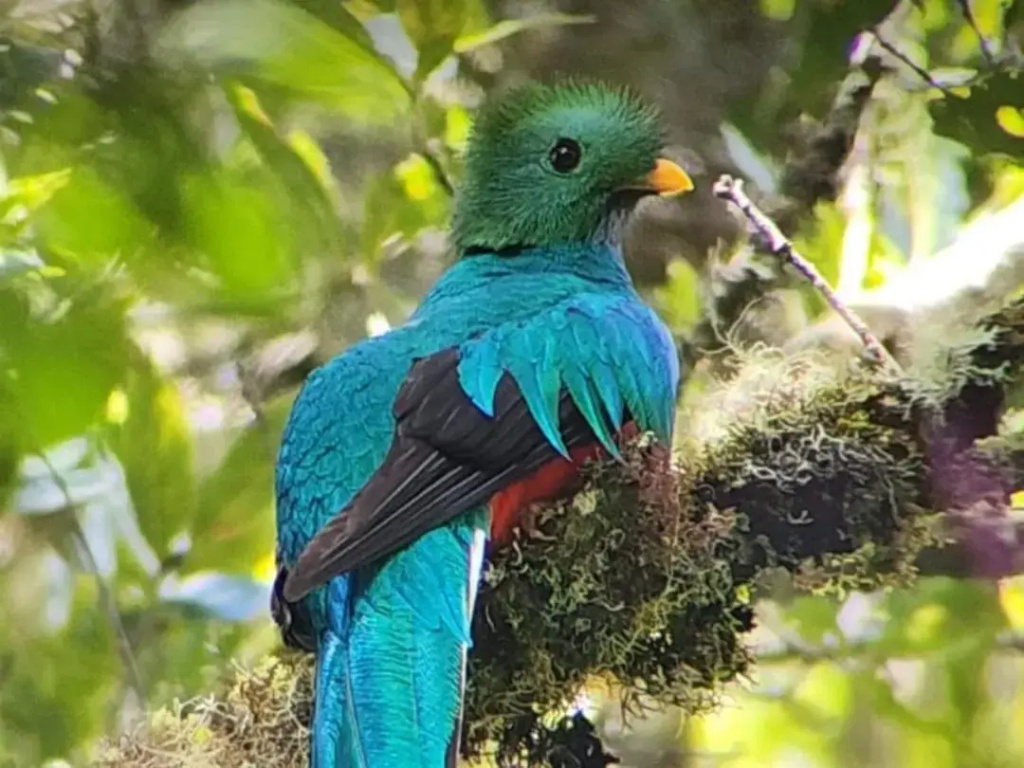 El Manantial Lodge - Général