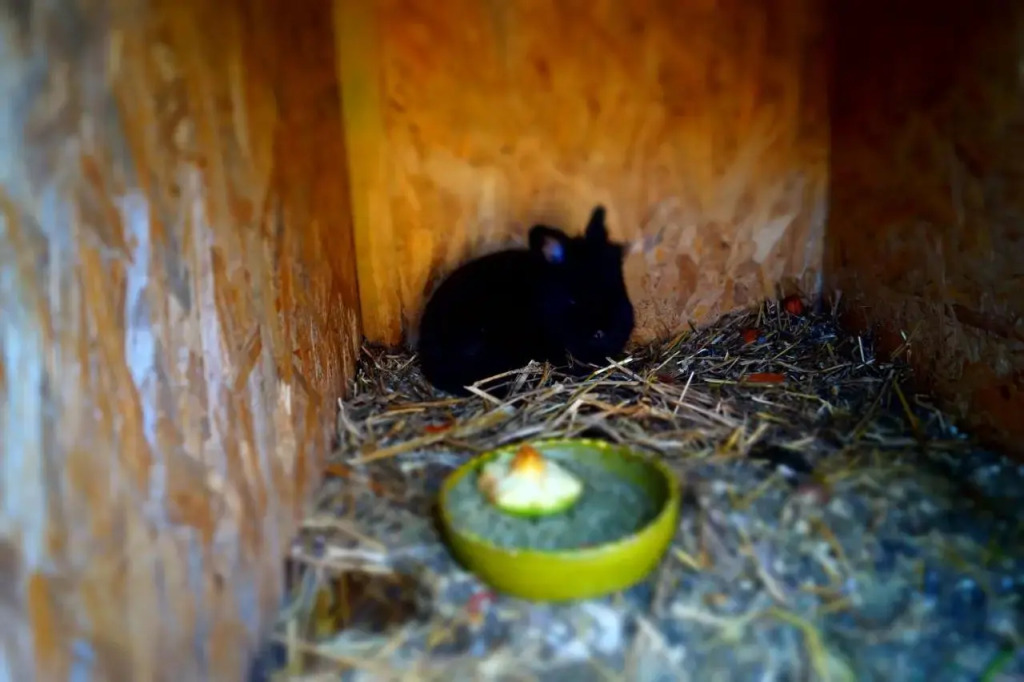 Hacienda Családbarát Vendégház - фото 11