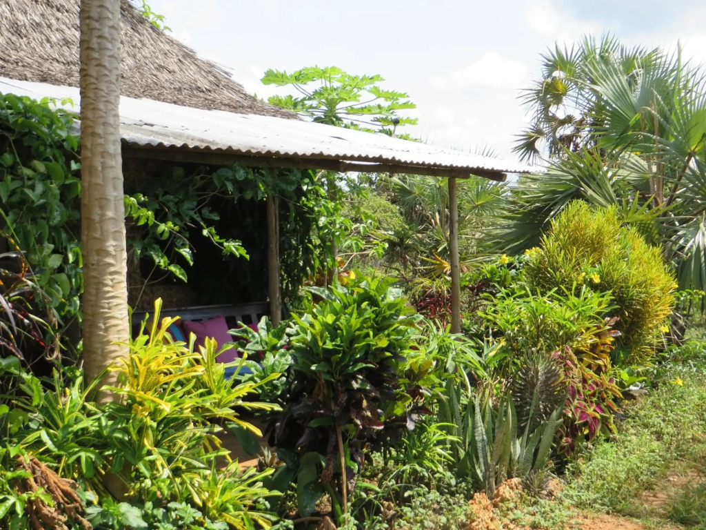 Bahati Diani House Glamping