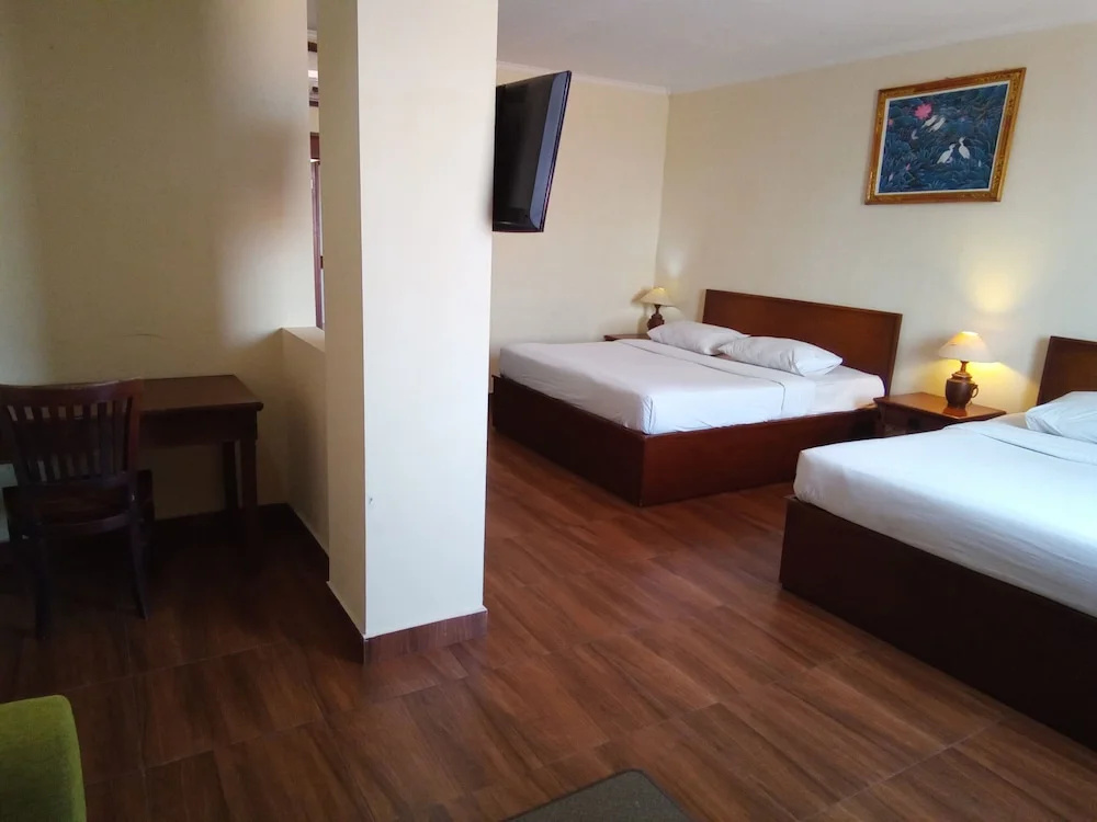 Standard Double room (full double bed)