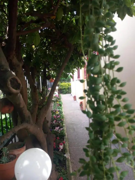Green Garden