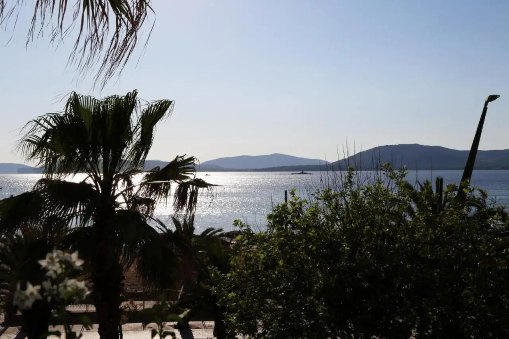 Eliton - фото 11