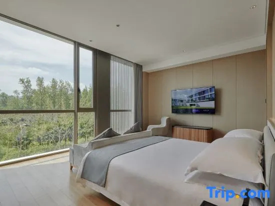 1 Bedroom Standard Double room (full double bed)