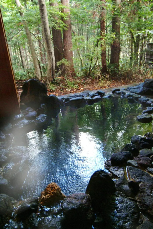 Forest Resort Yamanote Hotel