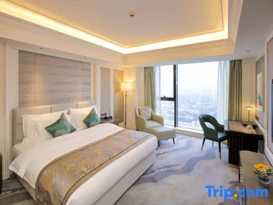 Standard Double room with city view (full double bed)