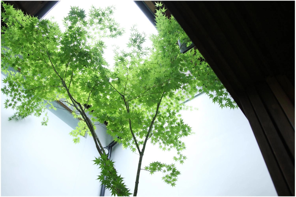 Kyoto HANARé Miyagawacho 사진 13