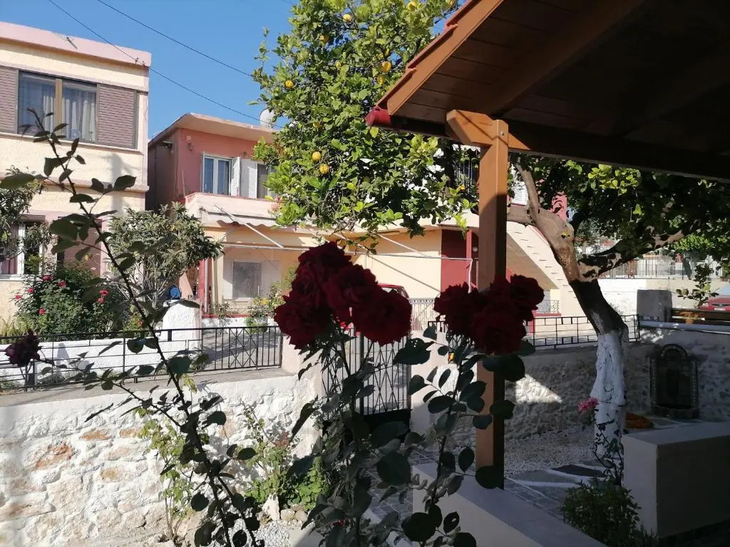 Lemon Tree House