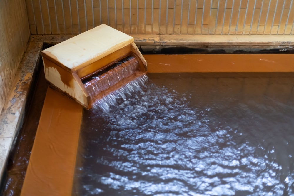 Okuhida Hot Spring Hirayukan 사진 26