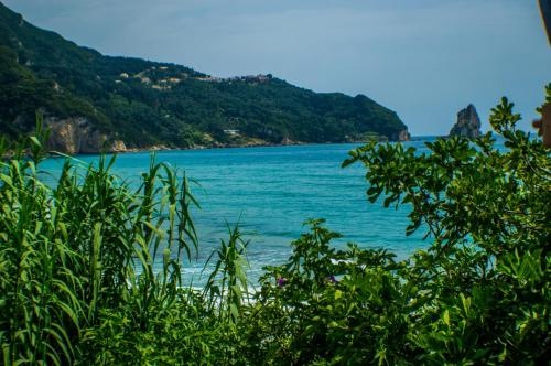Beach & Waterfront