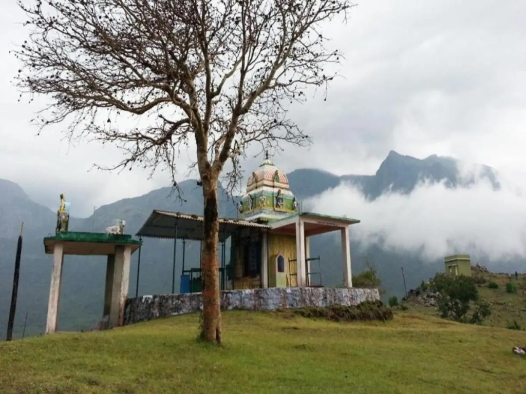 Jungle Hut Resorts - Général