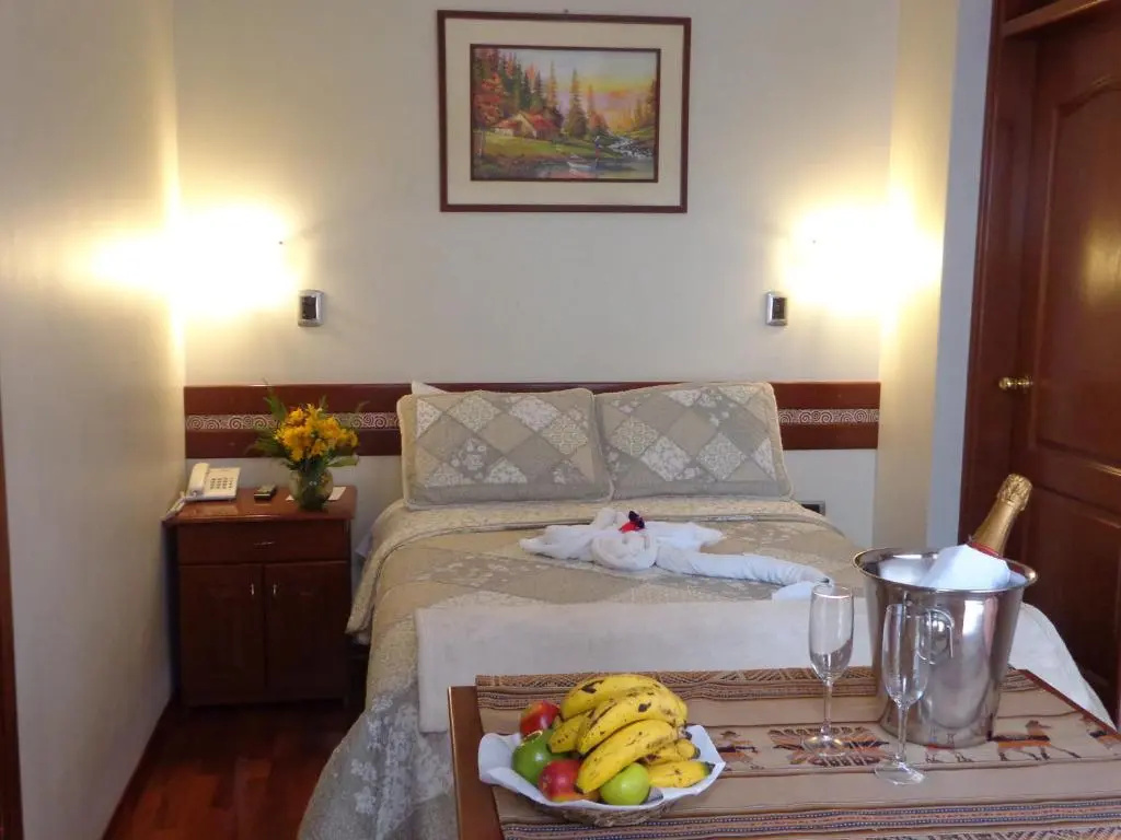 Standard Double room (full double bed)