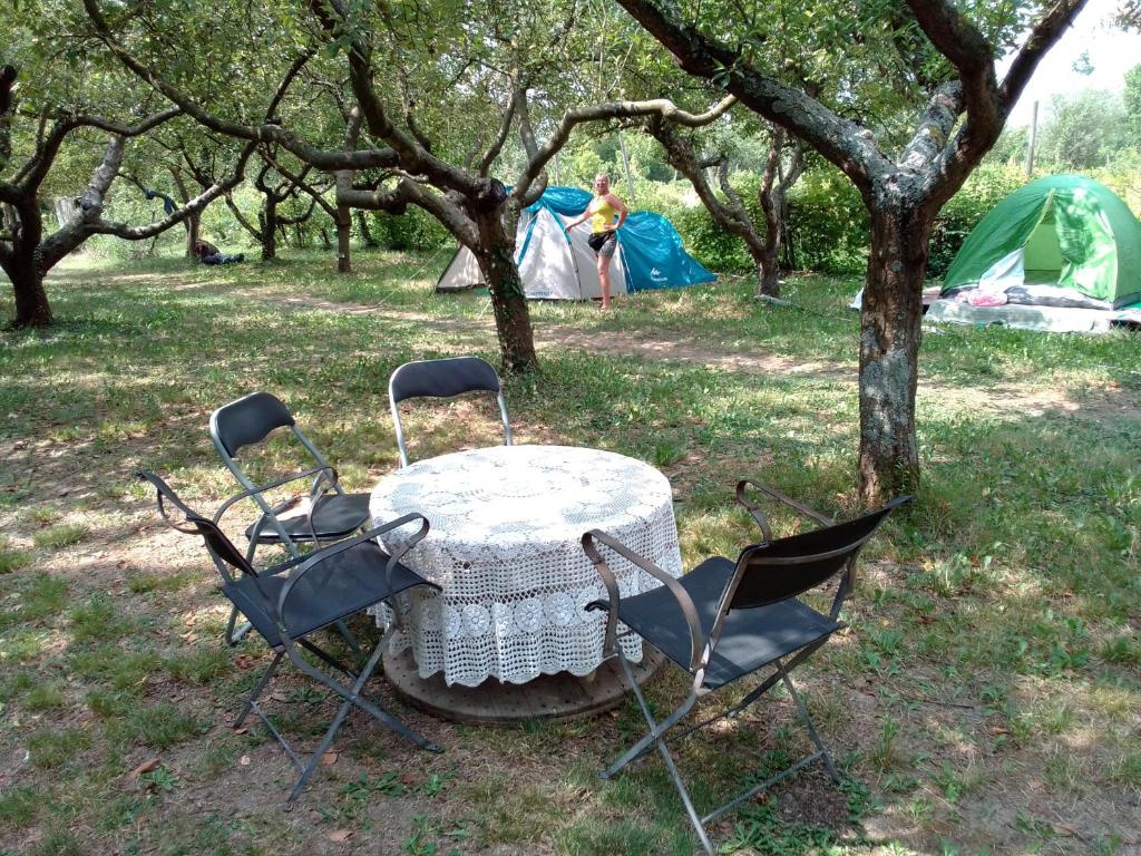 Tent