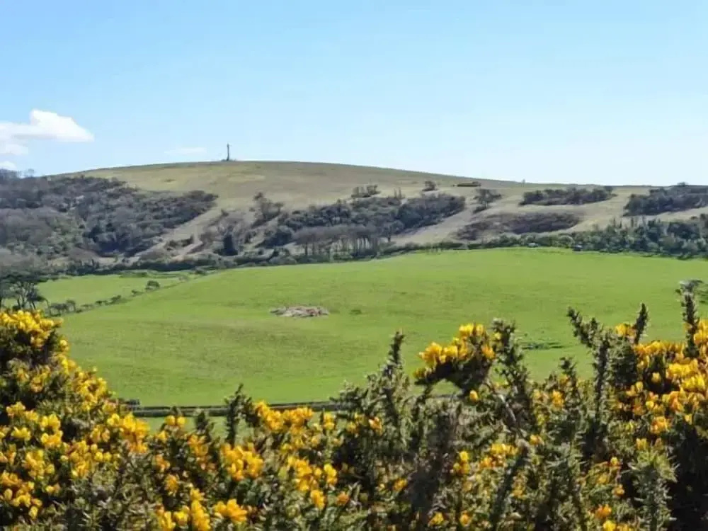 Stonewind Farm