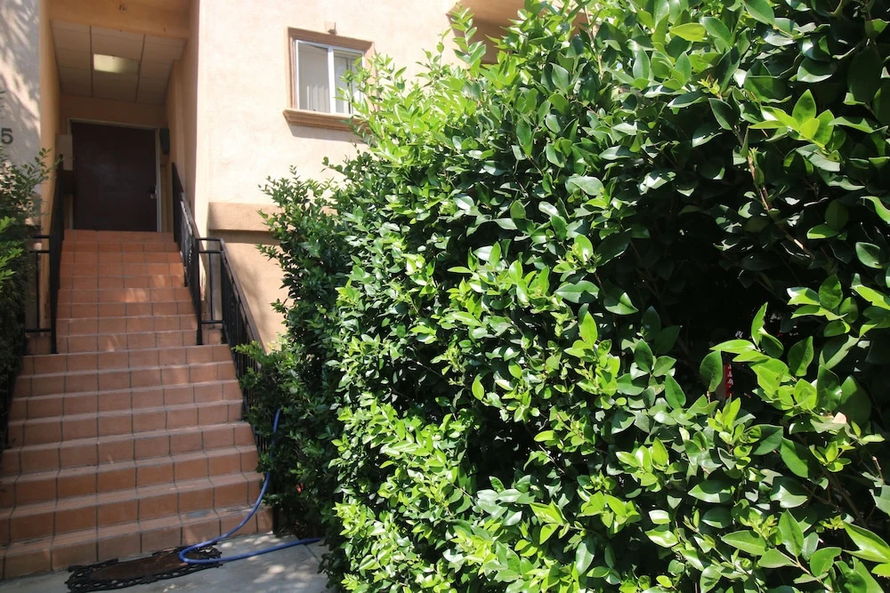 Gorgeous 2BD Apartment - Général