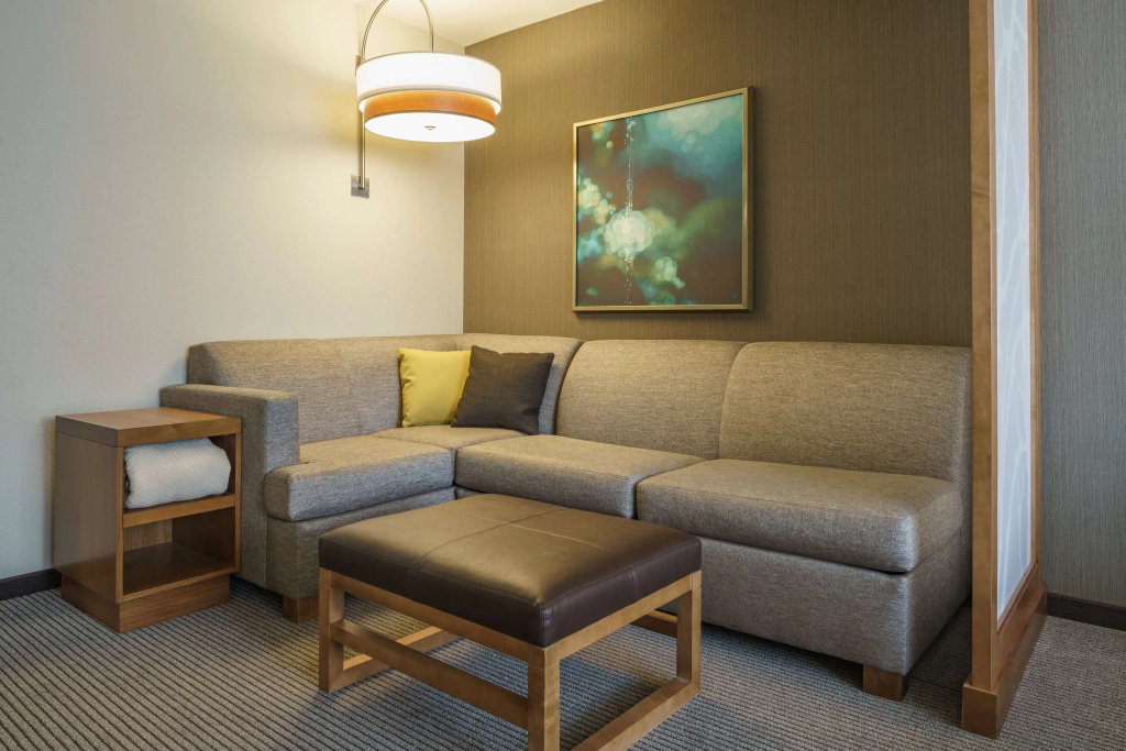 Hyatt Place Houston/Galleria - Général