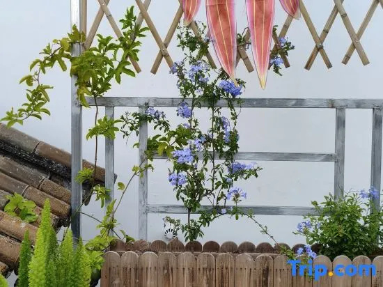 Weifeng     Homestay in Nanzhao