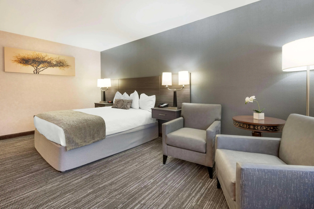 Best Western Plus City Center - Général