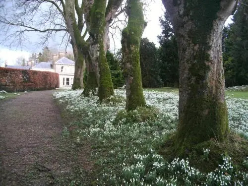 Gardenvale Manor House B&B