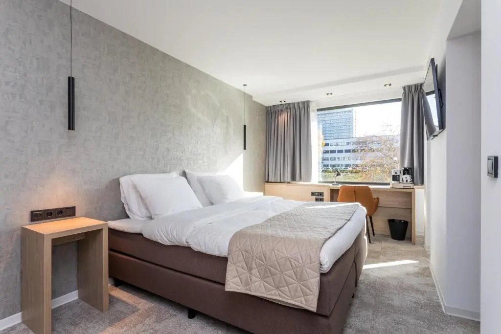Standard Suite