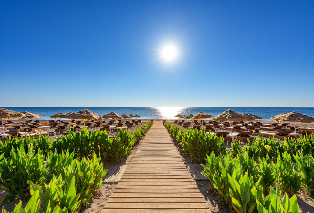 Beach & Waterfront