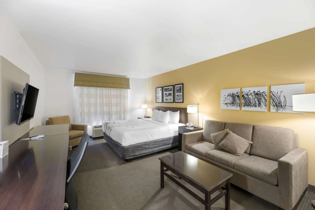 Double Suite (full double bed)