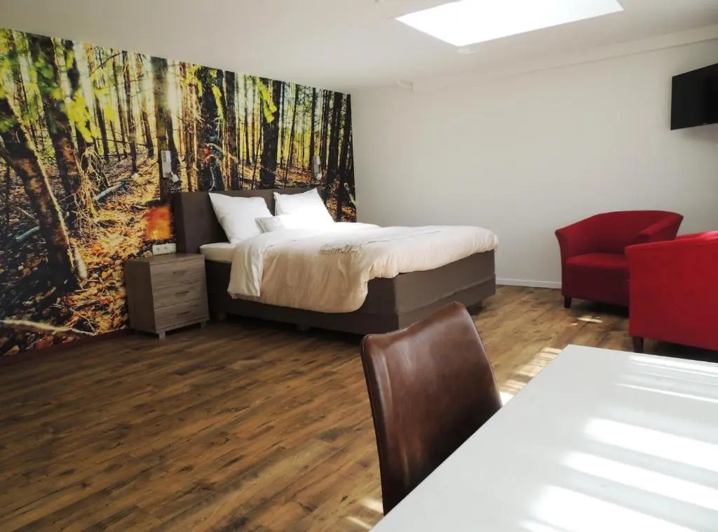 Standard Double room (full double bed)