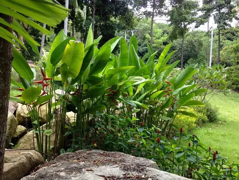 Beach Villa Phangan