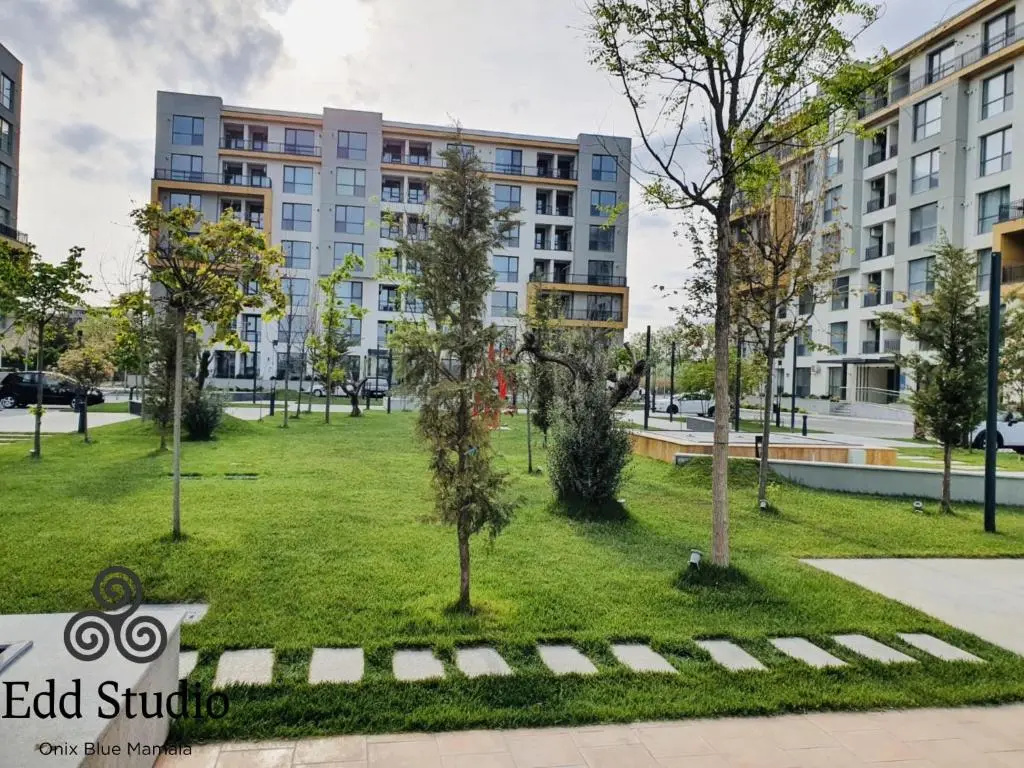 Edd Studio Onix Blue Mamaia Nord