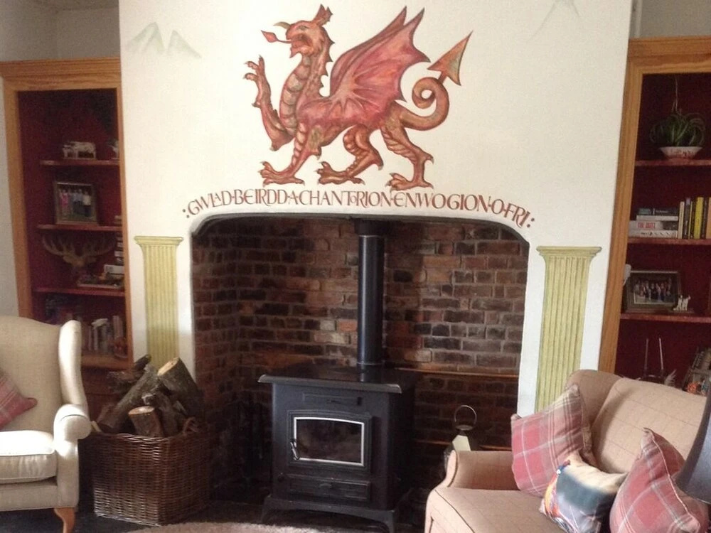 Cwmllechwedd Fawr - Général