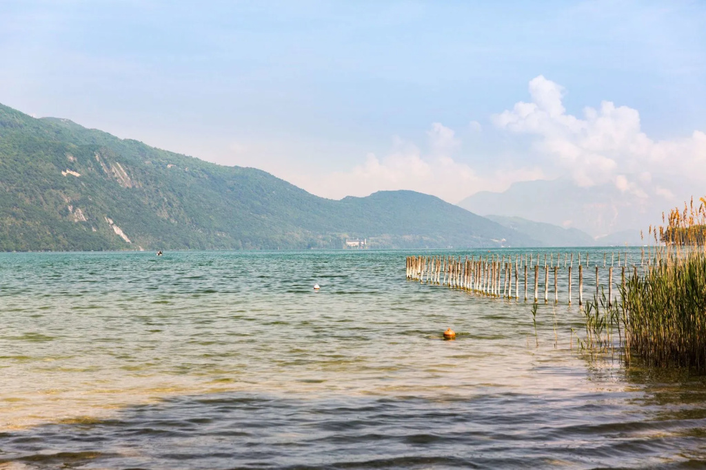 Beach & Waterfront