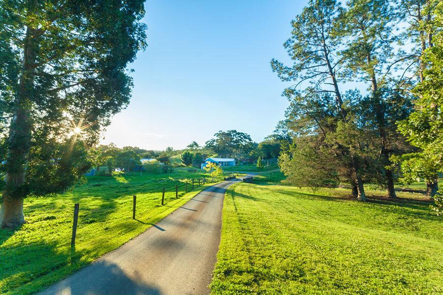 The Eumundi Dairy