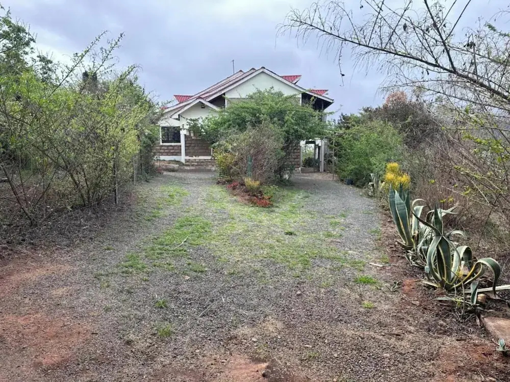 Saba House & Lodges