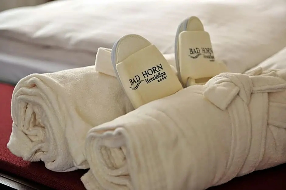 Bad Horn - Hotel & Spa - Chambres
