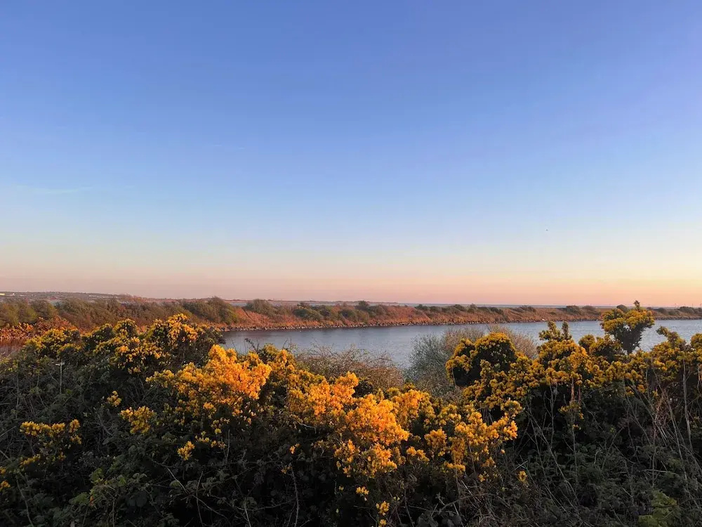 Natterjack Cottage - Access to the Western Lakes