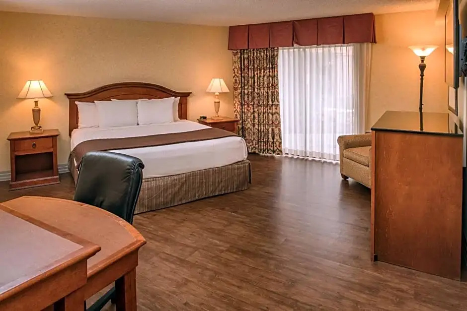 Double Studio (full double bed)