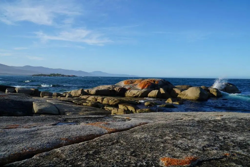 Cod Rock Point - Chambres