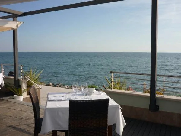 Balcony & Terrace