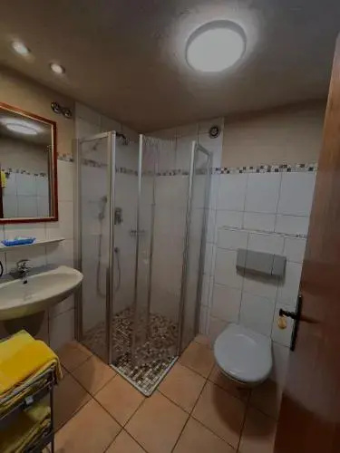Hotel Rebstock - Général