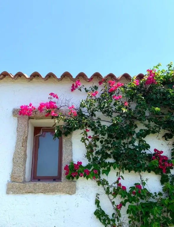 Susy house