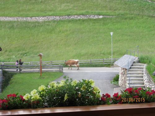 gallery_image_hidden_97