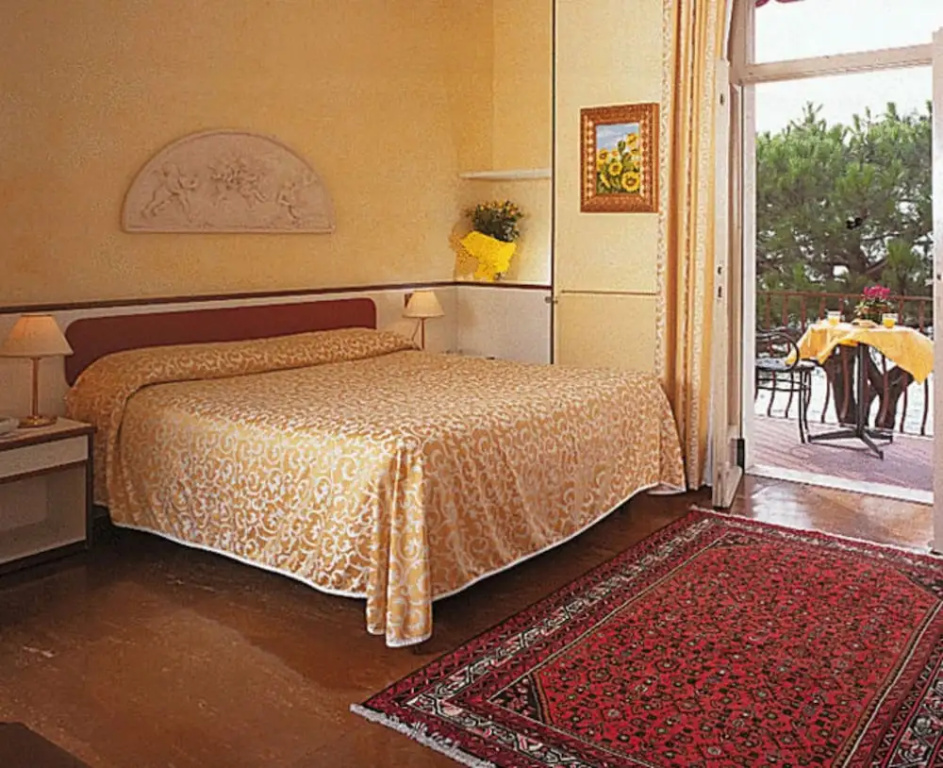 Superior Double room with balcony and with lake view (full double bed)
