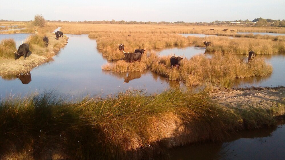 Roulotte La Nanouche