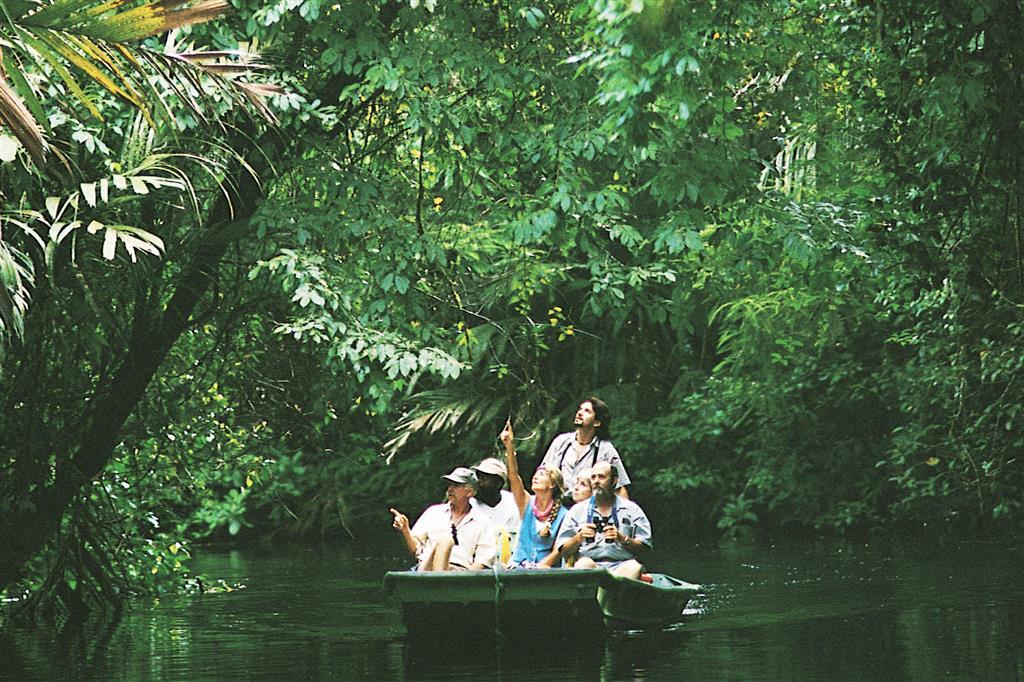 Tortuga Lodge & Gardens picture