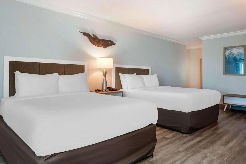 Dolphin Sands Clearwater Beach, an Ascend Collection Hotel - Général