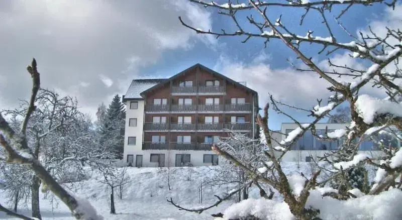 Hotel Hohenrodt