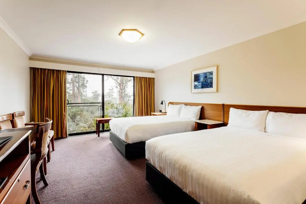 Deluxe Double room (full double bed)
