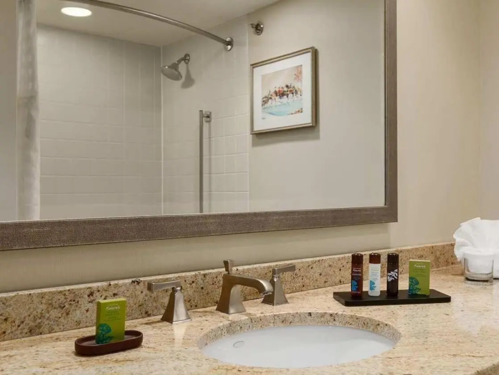 Embassy Suites by Hilton Philadelphia Valley Forge - Chambres